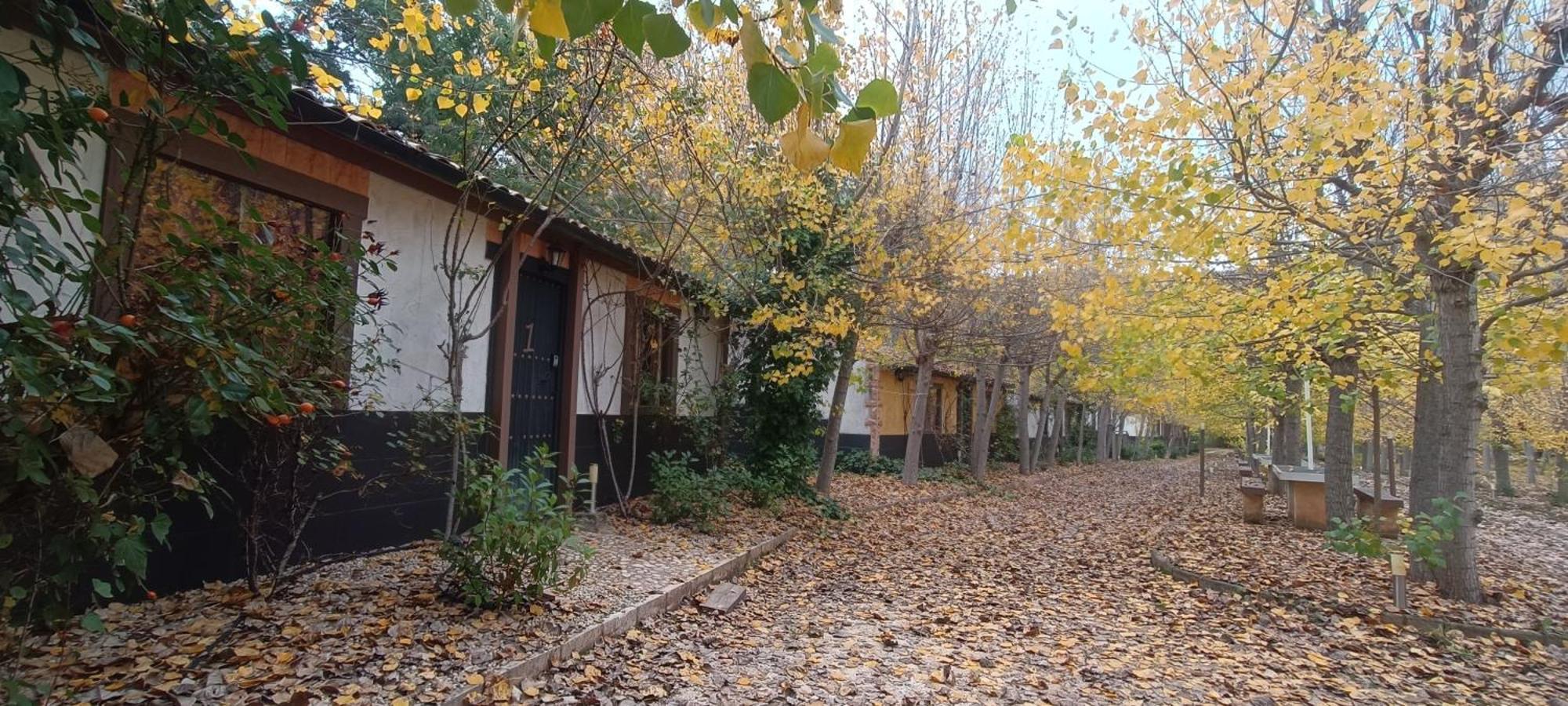 Casas Rurales Vado Del Rio Tus Cortijo Prados Zewnętrze zdjęcie