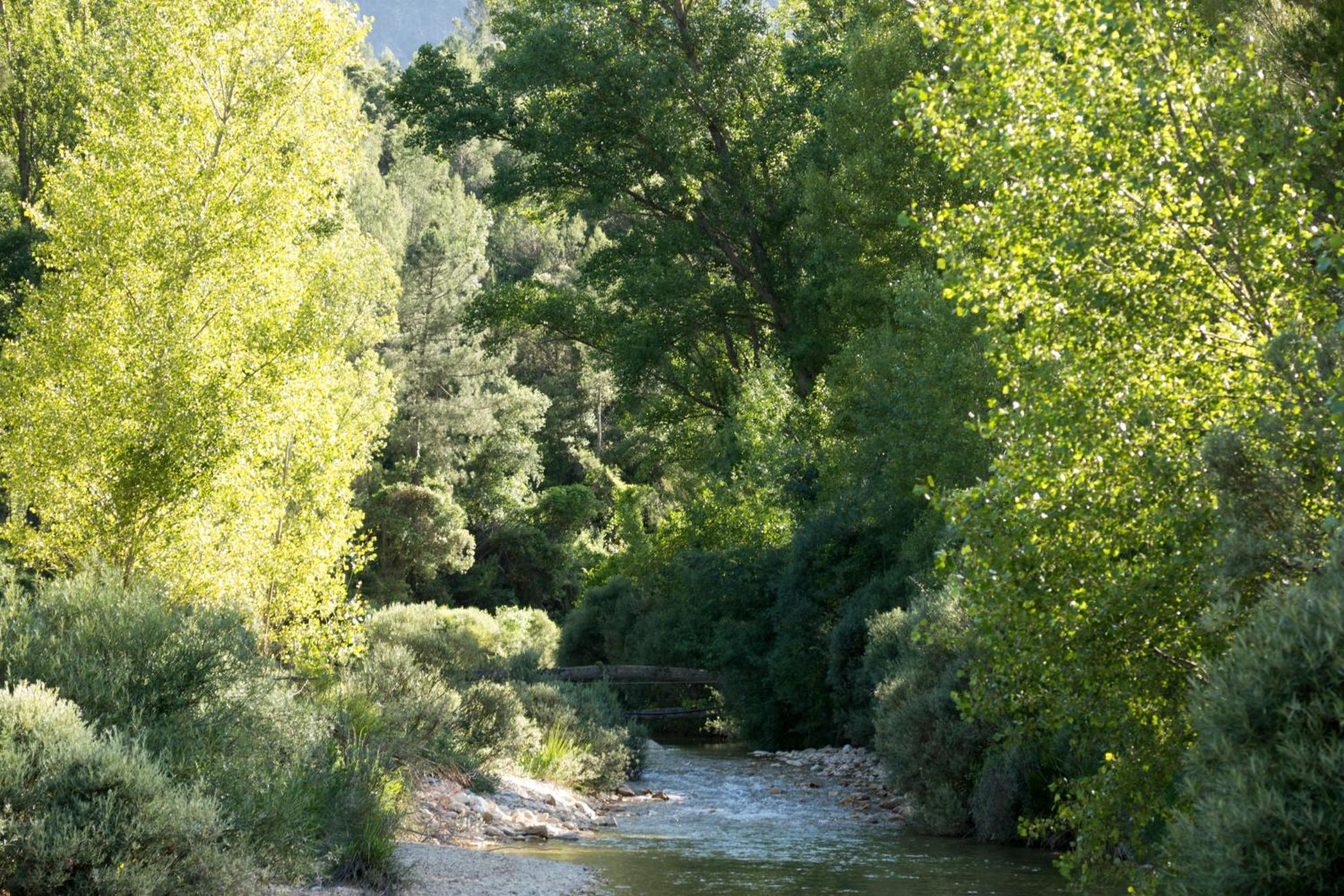Casas Rurales Vado Del Rio Tus Cortijo Prados Zewnętrze zdjęcie
