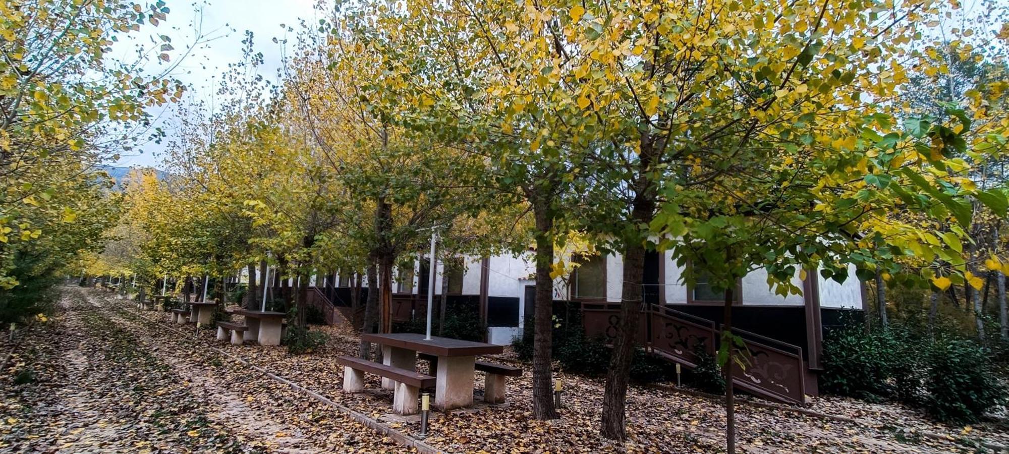 Casas Rurales Vado Del Rio Tus Cortijo Prados Zewnętrze zdjęcie