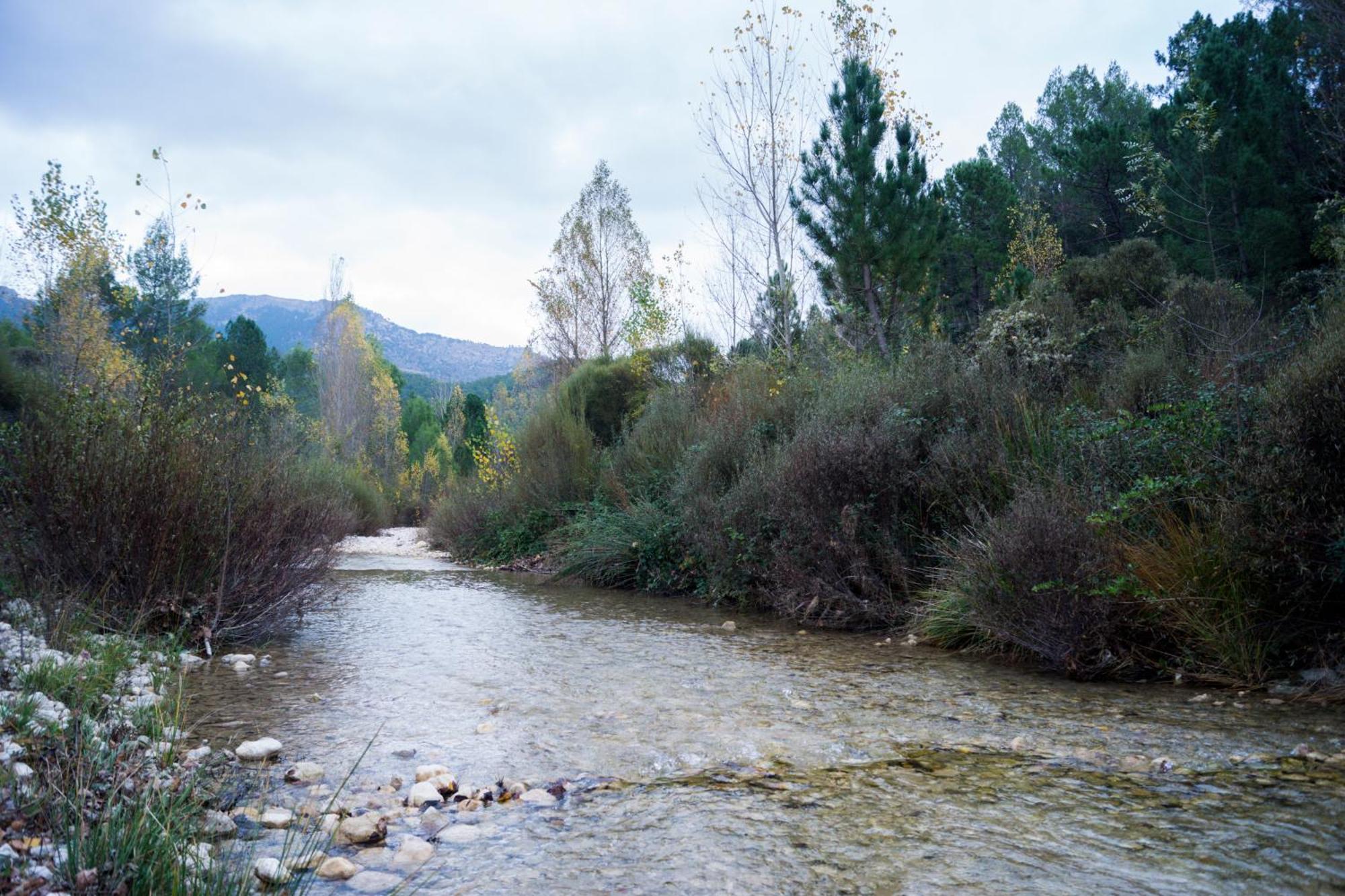 Casas Rurales Vado Del Rio Tus Cortijo Prados Zewnętrze zdjęcie